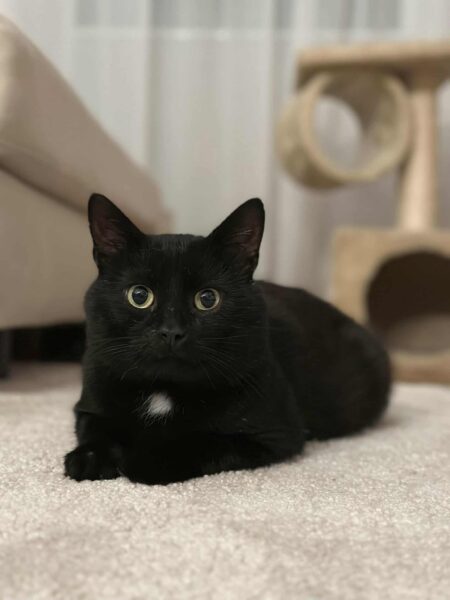 Basilio