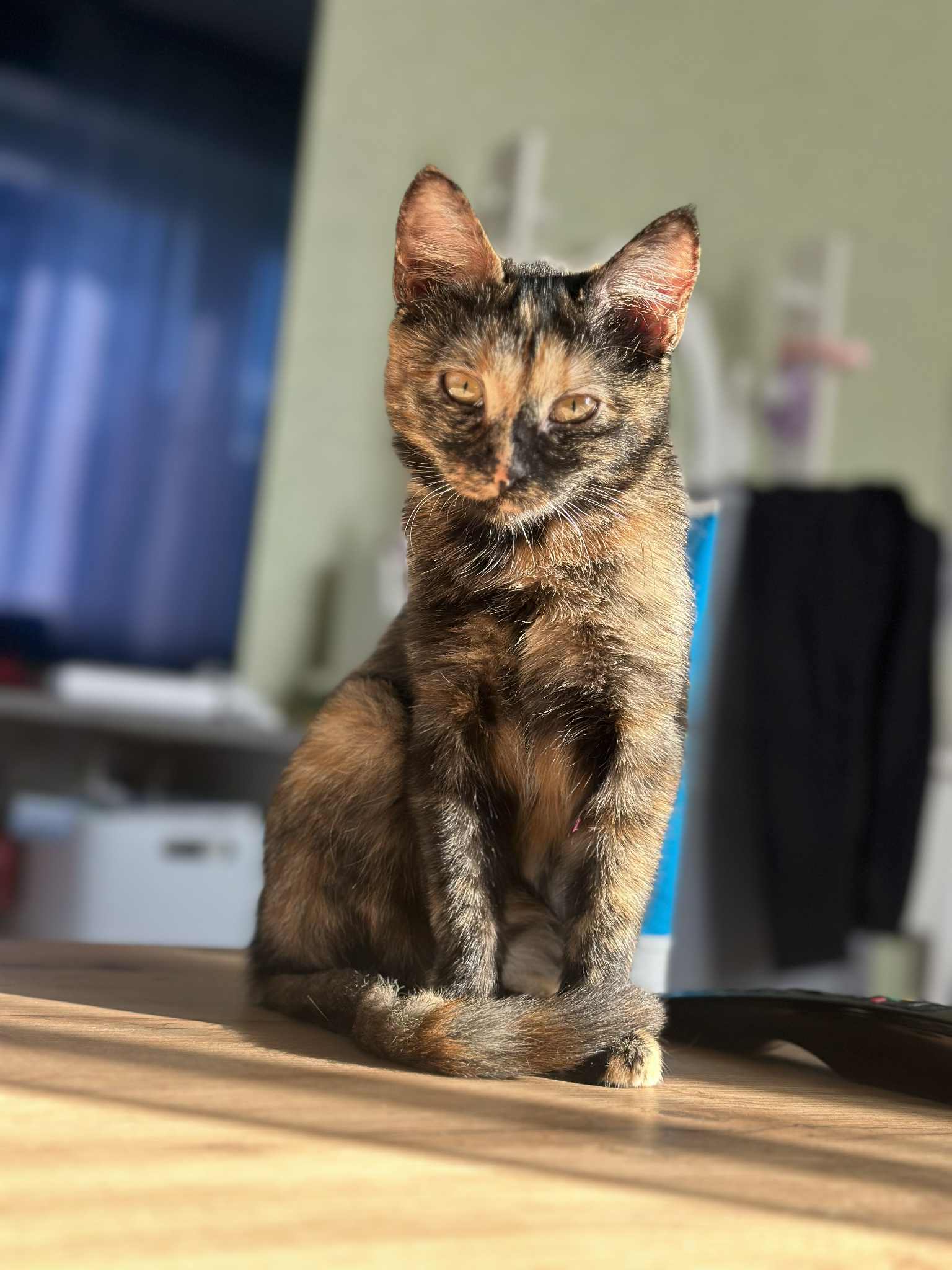 Lili