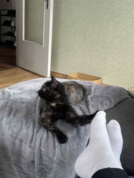 Mimi - Image 3