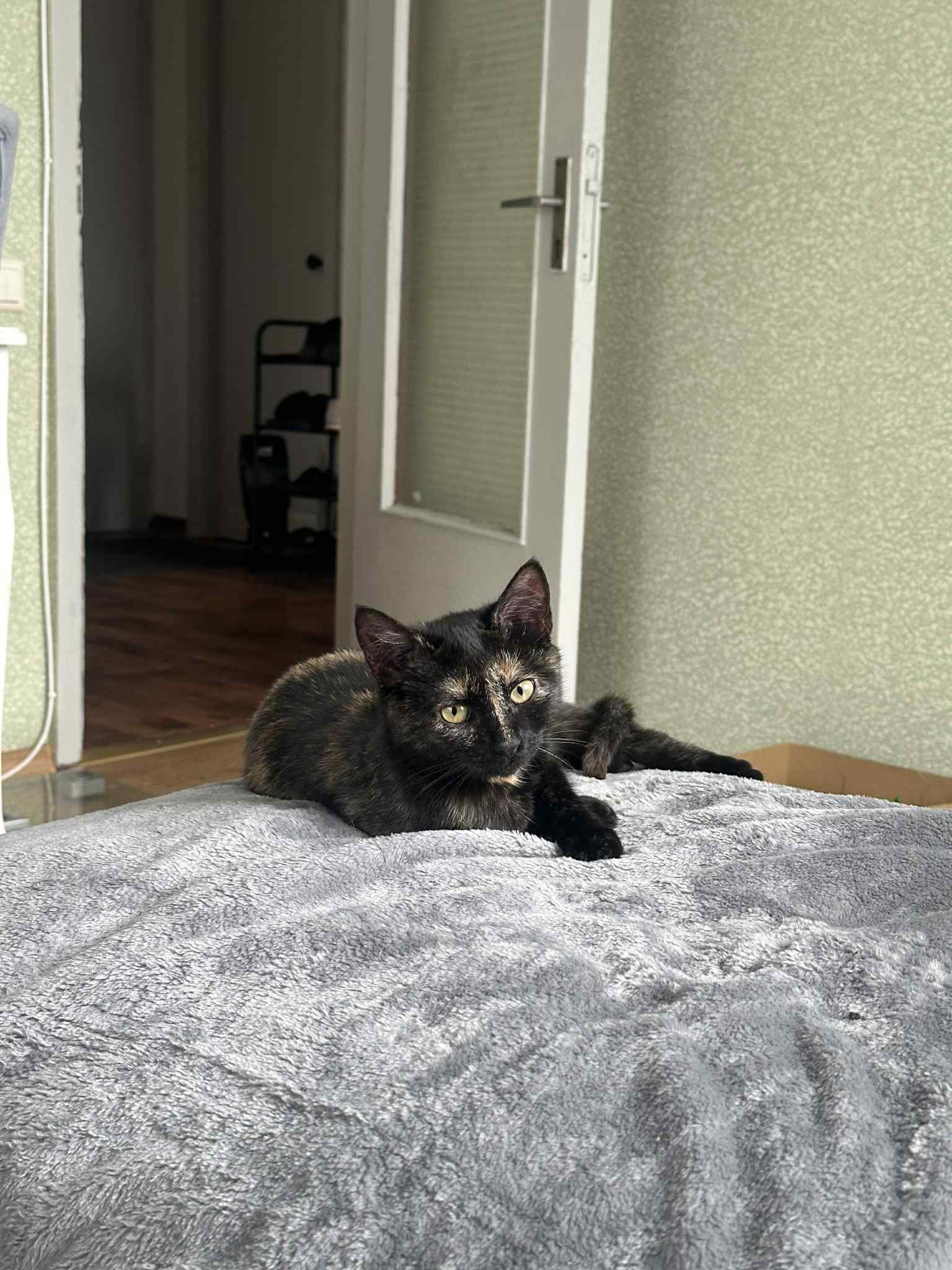 Mimi