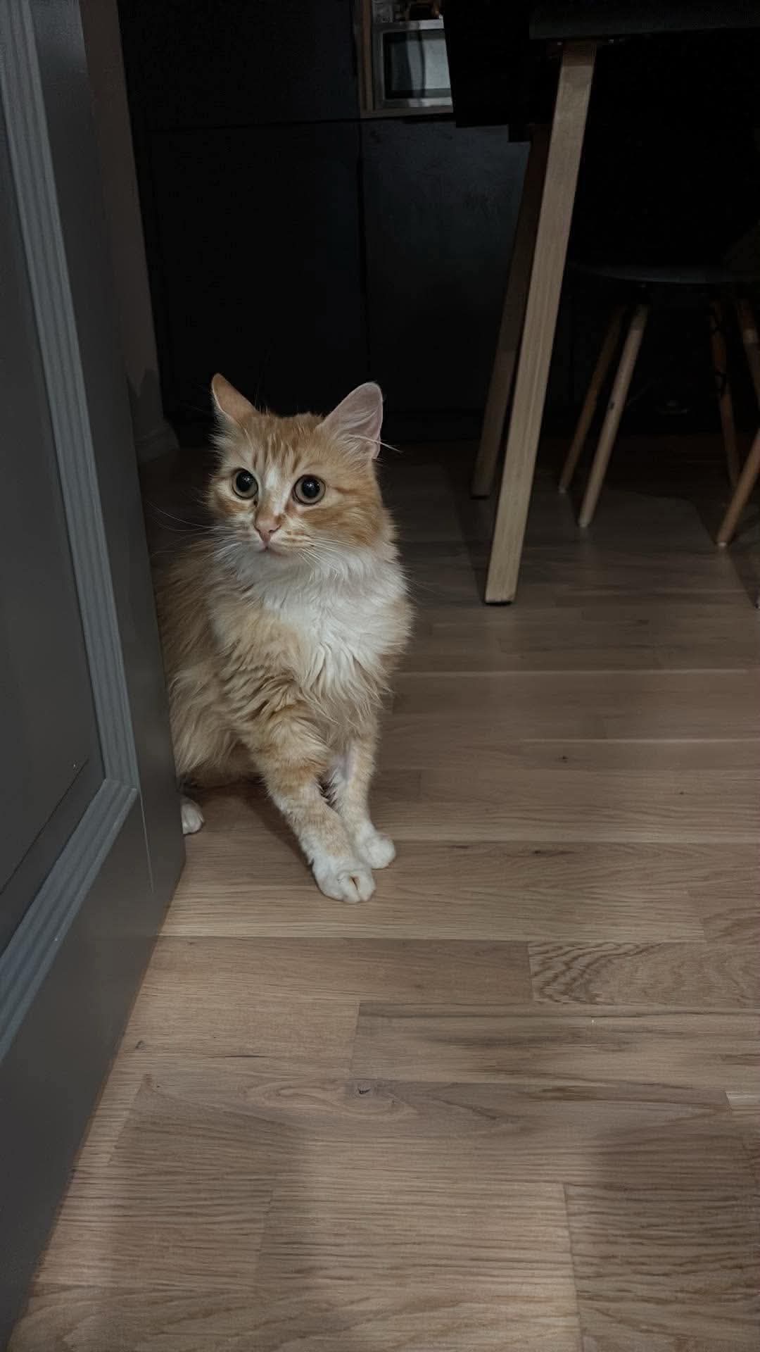 Kati