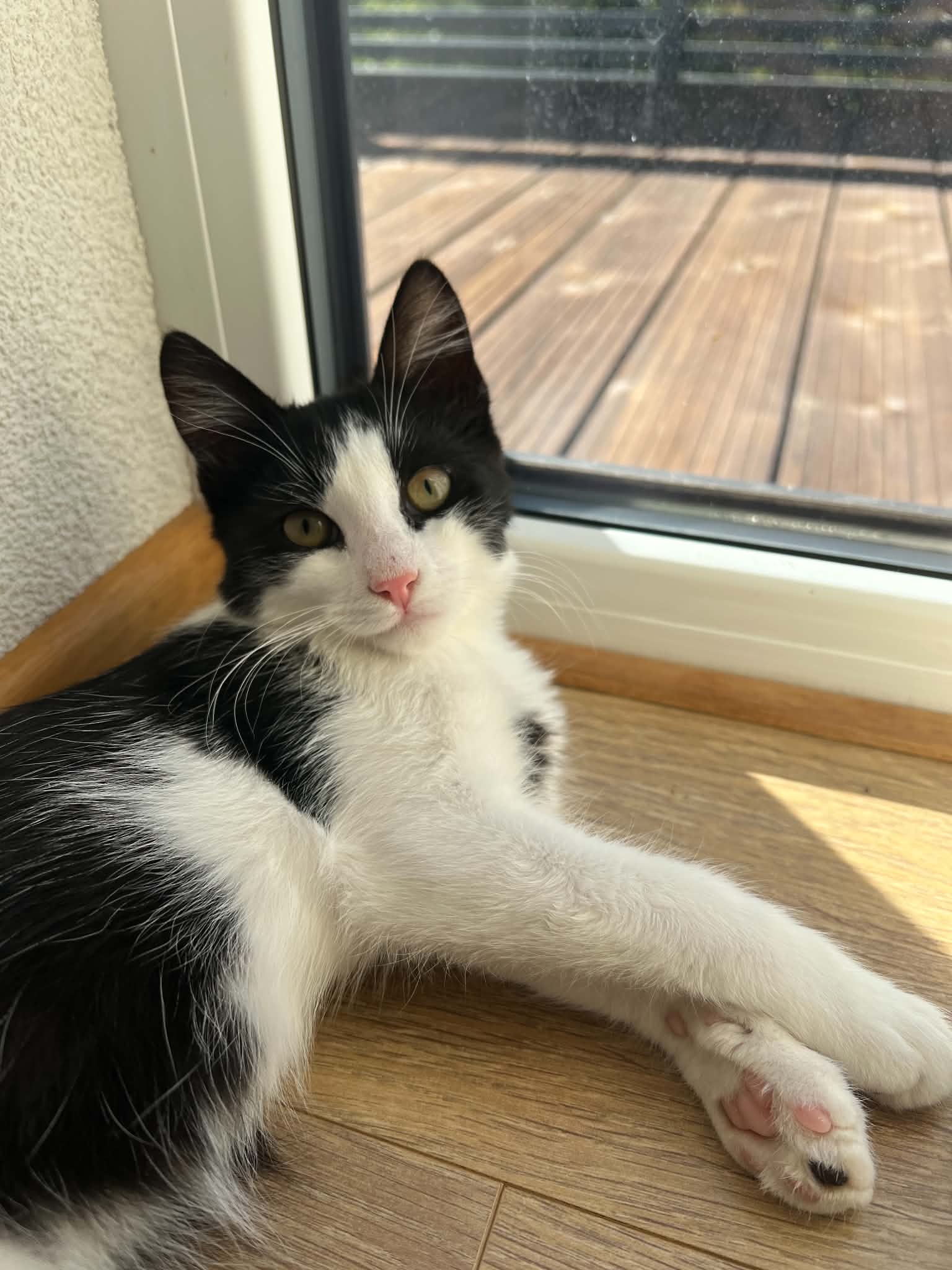 Felix