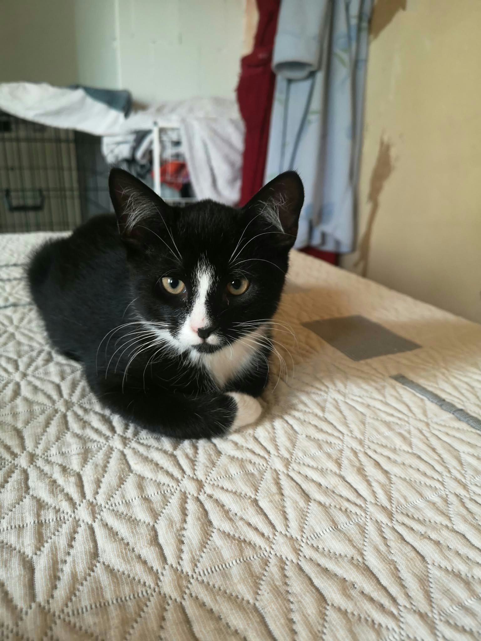 Charlie